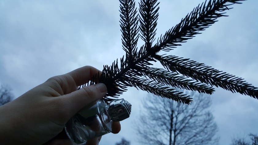 20171227_161609