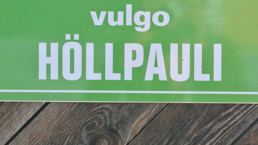 Vulgoname