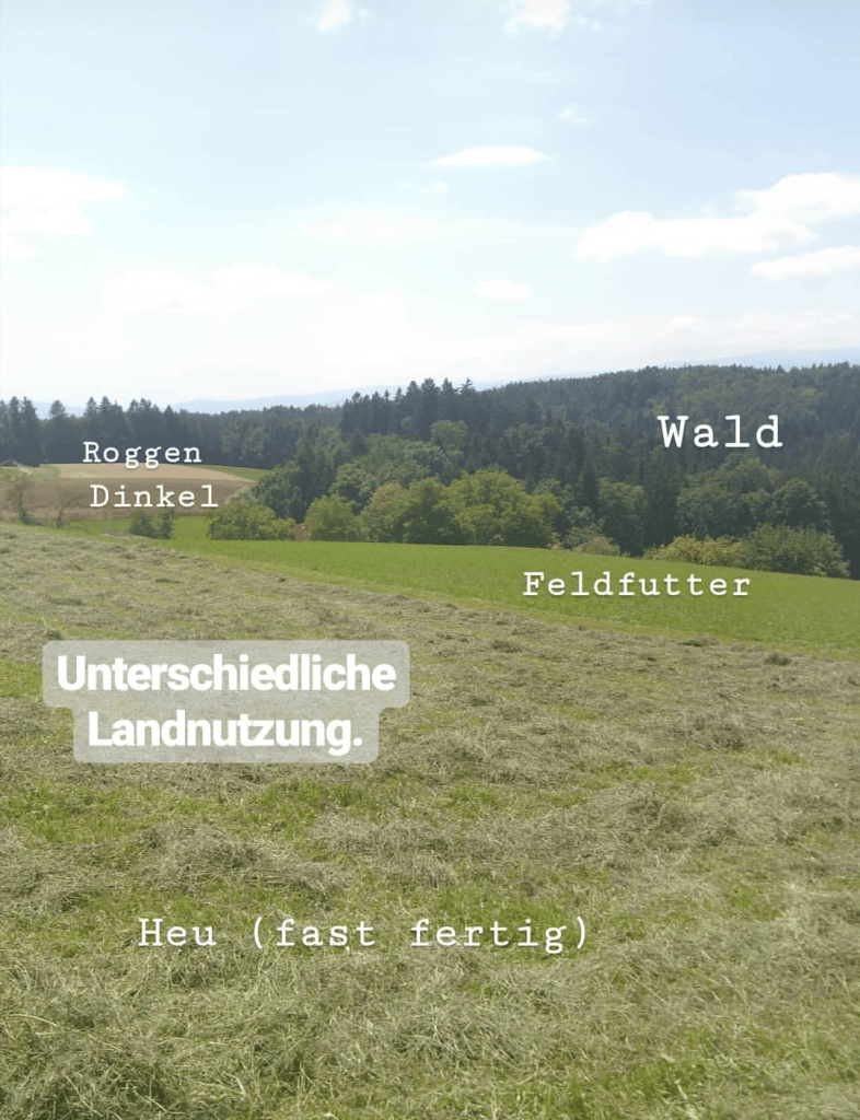 Unterschiedliche Landnutzungen