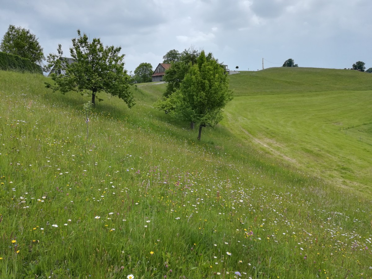 Warum Landwirte öffentliche Gelder bekommen und was dahinter&nbsp;steckt.